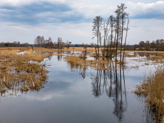 Die Seen rund um den Urwald von Białowieża