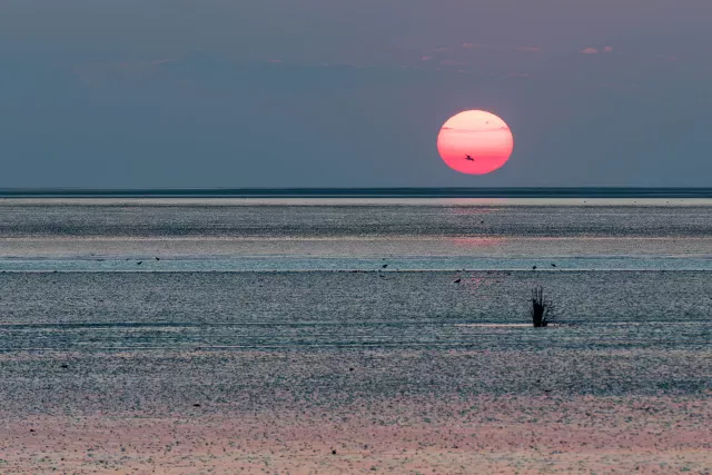 Sonnenuntergang auf Neuwerk