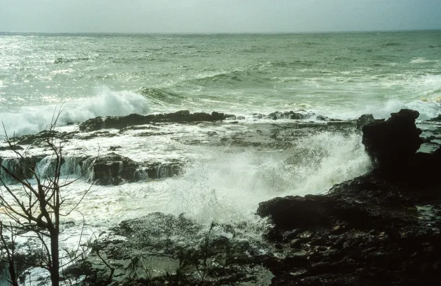 Die Küste von Kauai