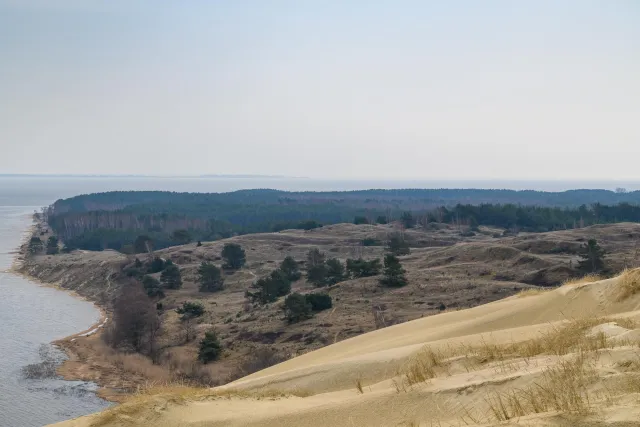 Die Dünen der Kurischen Nehrung