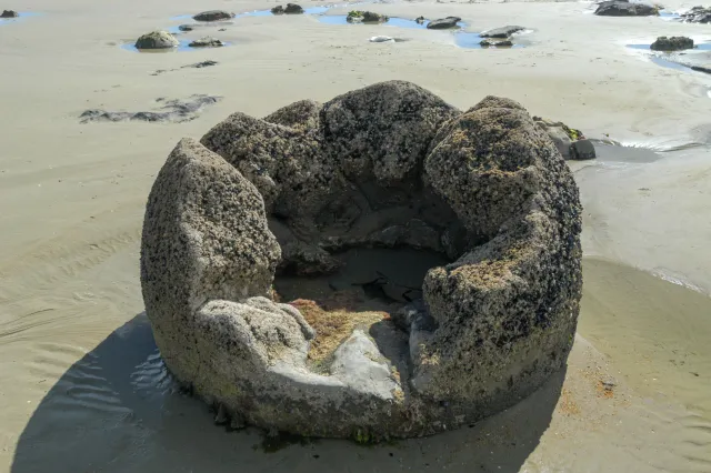 The Moeraki Boulders on Boulders Beach