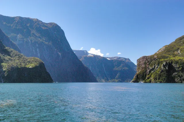 Der Milford Sound