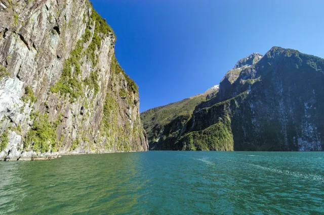 The Milford Sound