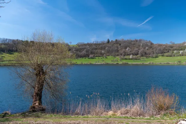 The Weinfelder Maar