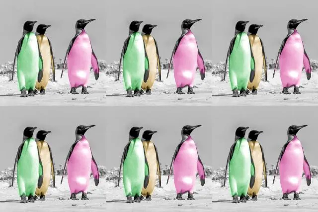 Warhol penguins as non-fungible token (NFT)