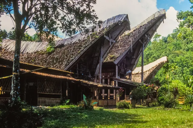 Tongkonan, the impressive houses of the Toraja