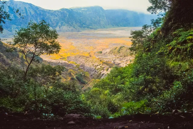 The Bromo plain