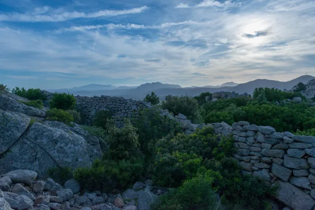 The Olbia plain