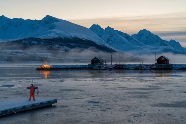 At the port of Fjord Solenagen