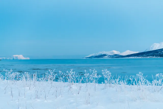 At the port of Fjord Solenagen