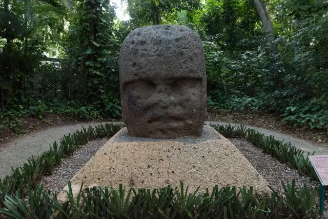 Colossal head found in La Venta in 1939