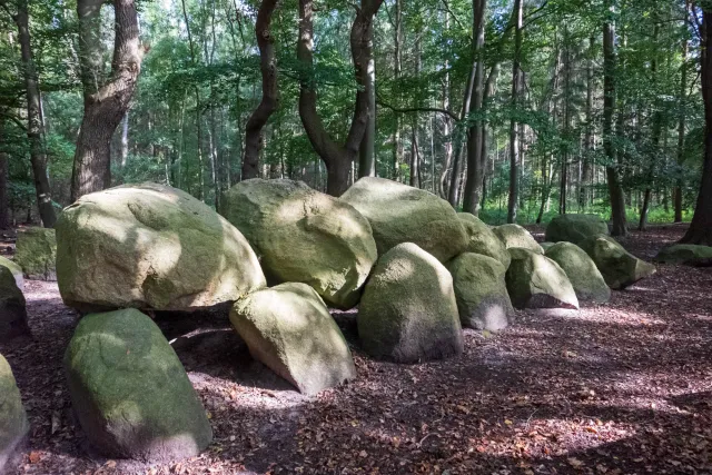 Volbers Hünensteine auch Hüven-Nord genannt mit der Sprockhoff-Nr. 842