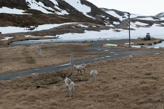 Ankunft am Basecamp auf dem Nordkap