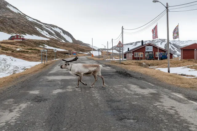 Place at the end of the world: Skarsvåg