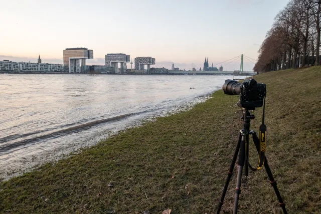 Recording location in the Rheinauen