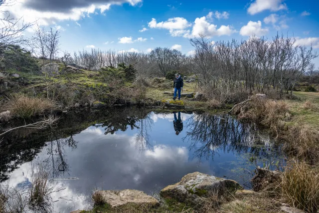 Karin spiegelt sich im Teich beim Hammerfyr