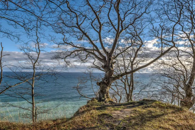 Die bekannten Kreidefelsen von Rügen