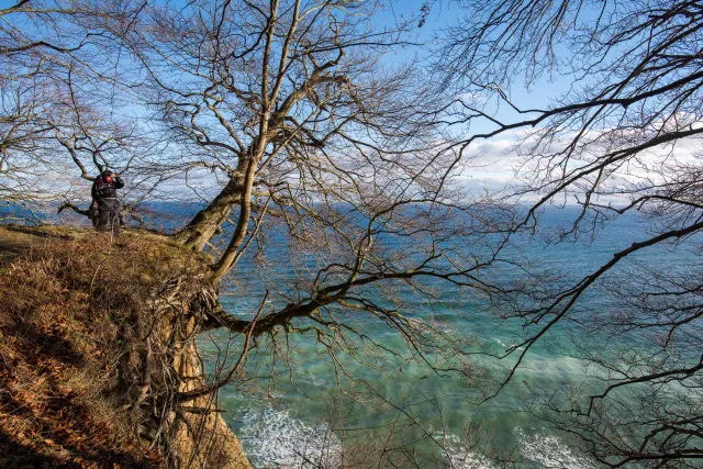 Die bekannten Kreidefelsen von Rügen