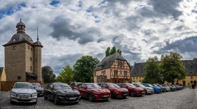 Die Mustangs im Schloss Vollrads bei Bingen